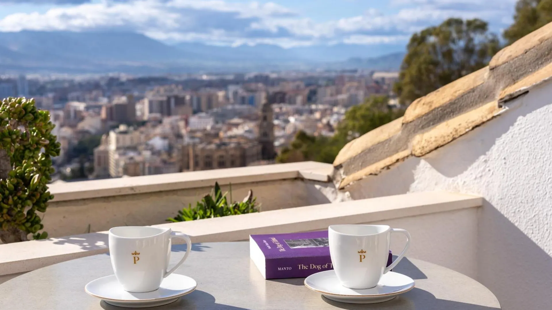 Parador De Malaga Gibralfaro Hotel
